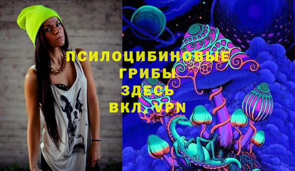 твердый Армянск