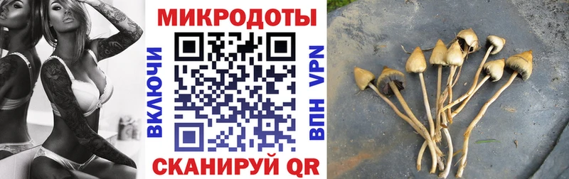 Галлюциногенные грибы MAGIC MUSHROOMS где продают Новодвинск